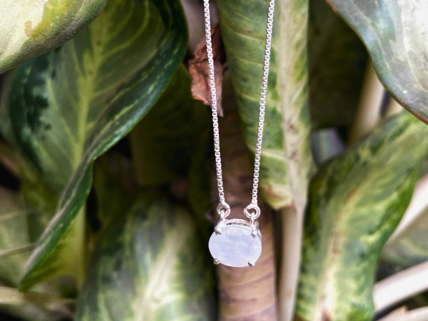 Moonstone Oval Necklace 925 Sterling Silver – House of Tarasya
