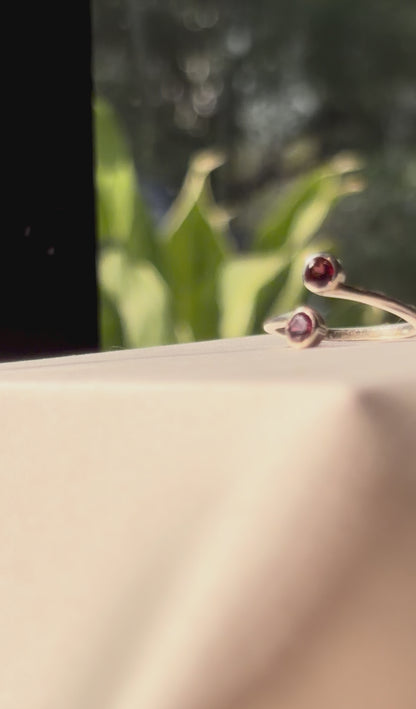 Garnet Duo Stone Ring Gemstone 925 Sterling Silver Jewellery – House of Tarasya
